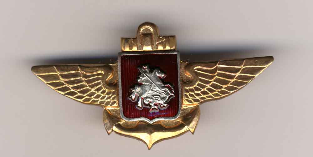 Знак пилота палубной авиации ВМФ РФ