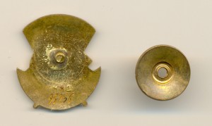 ОТЛИЧНИКУ ЗДРАВООХРАНЕНИЯ №93256, с доком