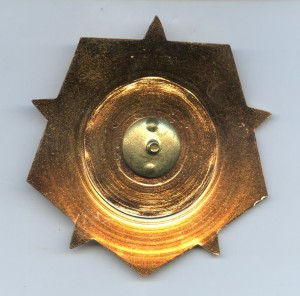 Почётный знак ДОСААФ СССР - 50 лет (комплект: 2 знака с док)