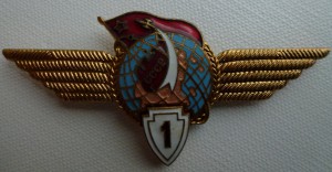 Знак классности лётчика-космонавта.