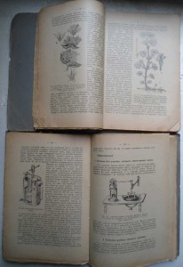 Русские Лекарственные Растения 1918г 2 книги