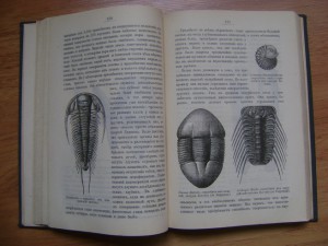 Агафонов В.К. Настоящее и прошлое Земли. 1895.