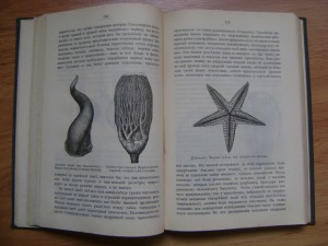 Агафонов В.К. Настоящее и прошлое Земли. 1895.