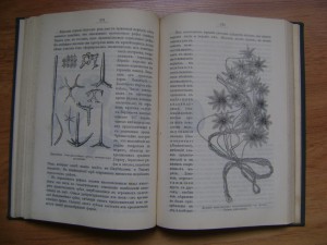 Агафонов В.К. Настоящее и прошлое Земли. 1895.