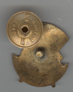 Отличнику здравоохранения №47018