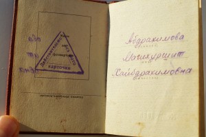 Комплект Мать-Героиня на ранних доках