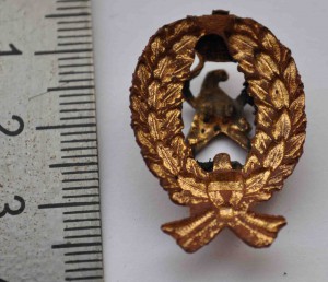 знак Пожарника или коккарда ?