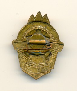 Лучшему вожатому ЦК ВЛКСМ