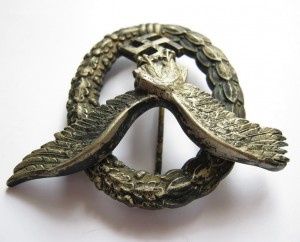 Знак пилота