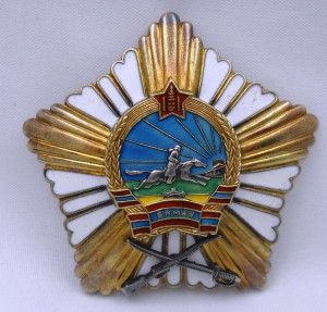 ЗБЗ №8974 (заколка)