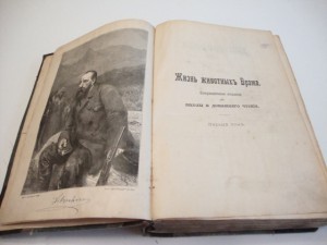 Брэм.Жизнь животных. В 3-х томах. Комплект. 1896г.