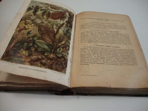 Брэм.Жизнь животных. В 3-х томах. Комплект. 1896г.