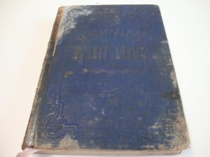 Путеводитель в Иерусалим. 1872г. Киев.