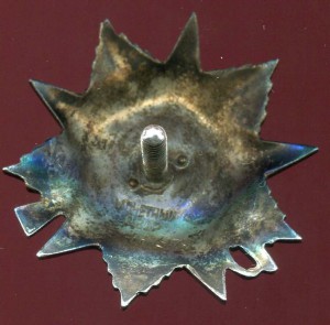 Отечка№437​979 на моряка Балтийца