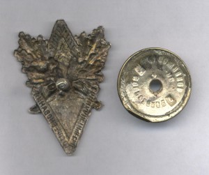 Отличник Главснаблеса