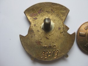 Отличнику здравоохранения 96719