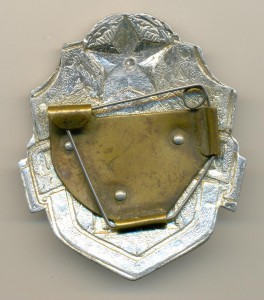 Инспектор ВАИ (5в)
