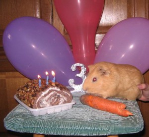 Тема про домашних друзей!