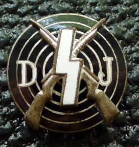 Золотой Почетный членский знак HJ , Стрелок DJ/HJ, DSB,SA