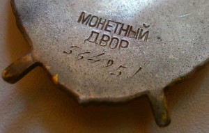 БКЗ поздний с доком