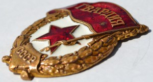 Гвардия МТХ