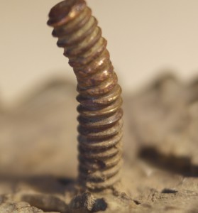 Полковик редчайший -  8-й уланский Вознесенский