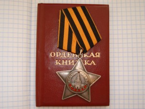 Слава 3ст. №805224 /док/