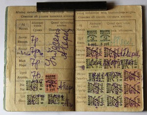 Еврей, партизан, штурмовик-красногвардеец и кооператор