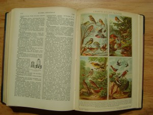 Редкость. Українська Загальна Енцикльопедія. Львів. 1930г.