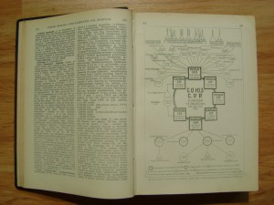 Редкость. Українська Загальна Енцикльопедія. Львів. 1930г.