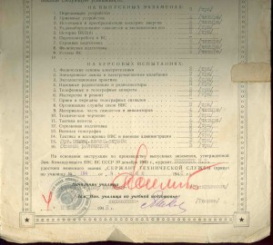 Разные доки из одной семьи (летчик, инженер, библиотекарь? )