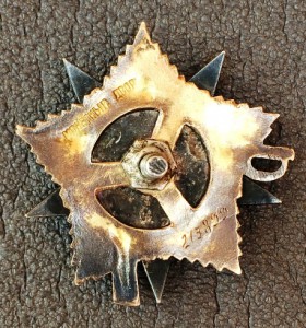 ОВ 1 степени №213***