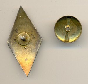 НКИ в серебре 3021