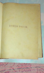 птицы россии