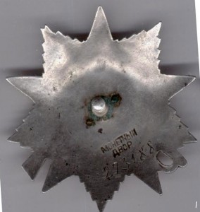 Группа с уникальной ОВ-2ст. № 273188 (номер на 17 часов)