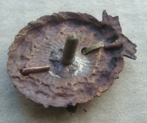 5 краском
