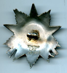 ОВ 2 степени 608734. Рыбий глаз.