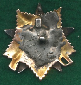 ОВ1 конверс