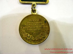 Медаль "Юному участнику Всесоюзной сельскохозяйственной выст