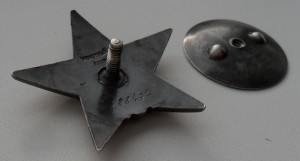 КЗ №188494, 1184 стр.полк погибший под Ржевом (355сд)