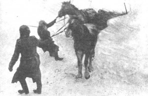 КЗ №188494, 1184 стр.полк погибший под Ржевом (355сд)