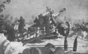 КЗ №188494, 1184 стр.полк погибший под Ржевом (355сд)