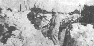 КЗ №188494, 1184 стр.полк погибший под Ржевом (355сд)