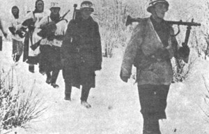 КЗ №188494, 1184 стр.полк погибший под Ржевом (355сд)