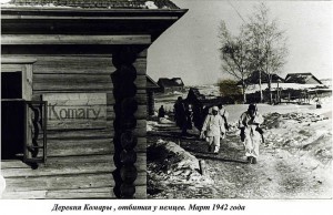 КЗ №188494, 1184 стр.полк погибший под Ржевом (355сд)