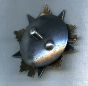 ОВ 1 ст 30 592 (два техклейма)