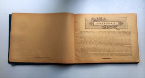 Графъ Толстой. Подарочный альбом. Очень красивый