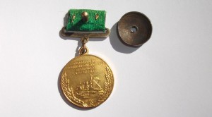 Малая золотая медаль ВДНХ Передовику социалистического сельс