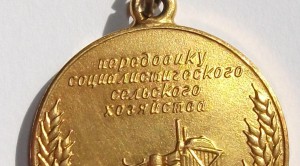 Малая золотая медаль ВДНХ Передовику социалистического сельс