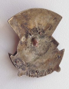 Знак Отличнику Здравоохранения